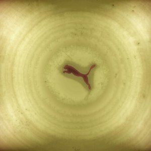 Meet your Posher, Alvaro